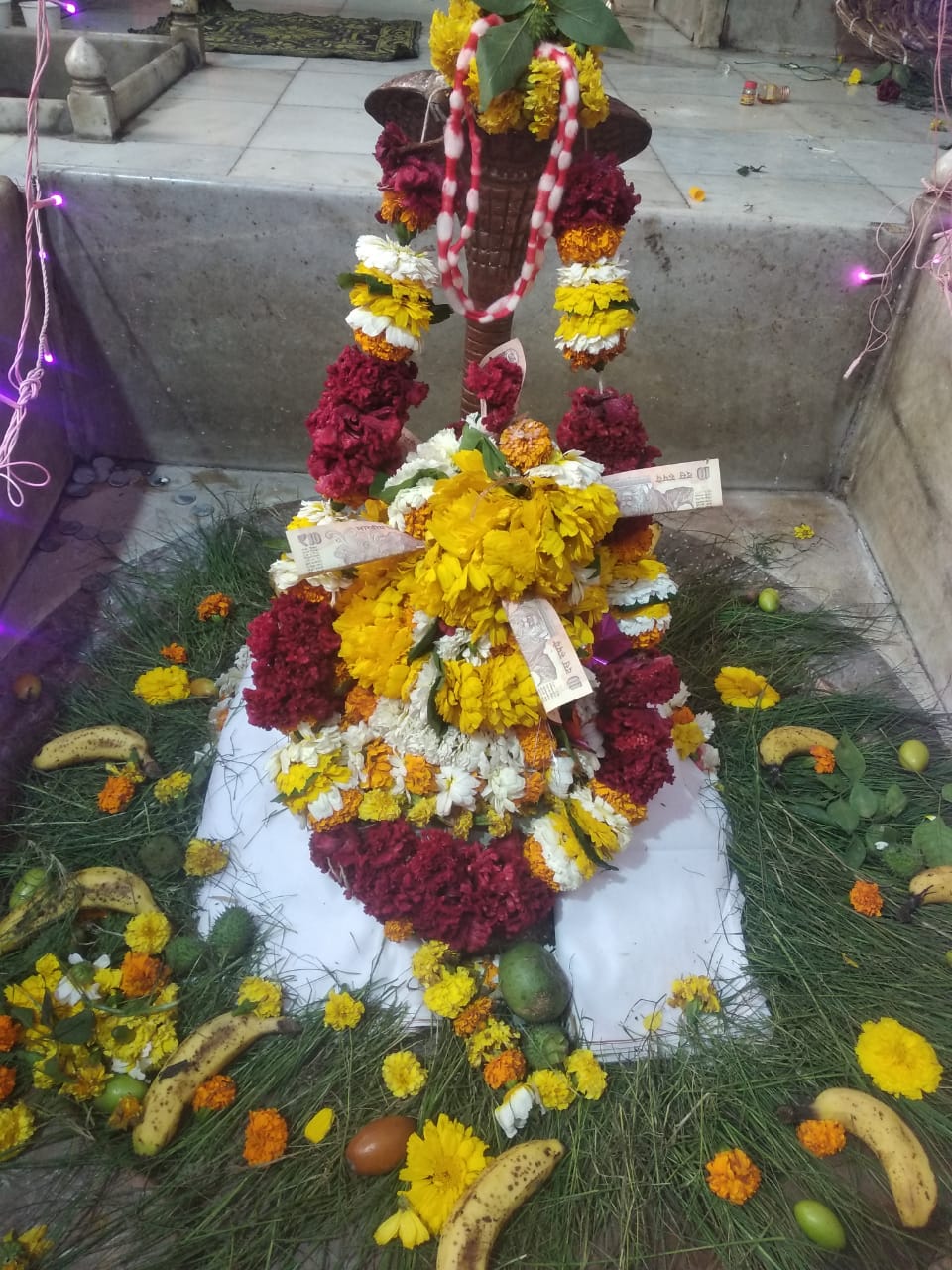 त्रिपुरेश्वर महादेव रुद्राविशेक